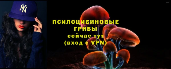 MDMA Козловка