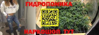 гидра Гусь-Хрустальный