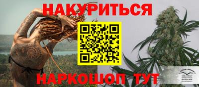 PSILOCYBIN Камышлов
