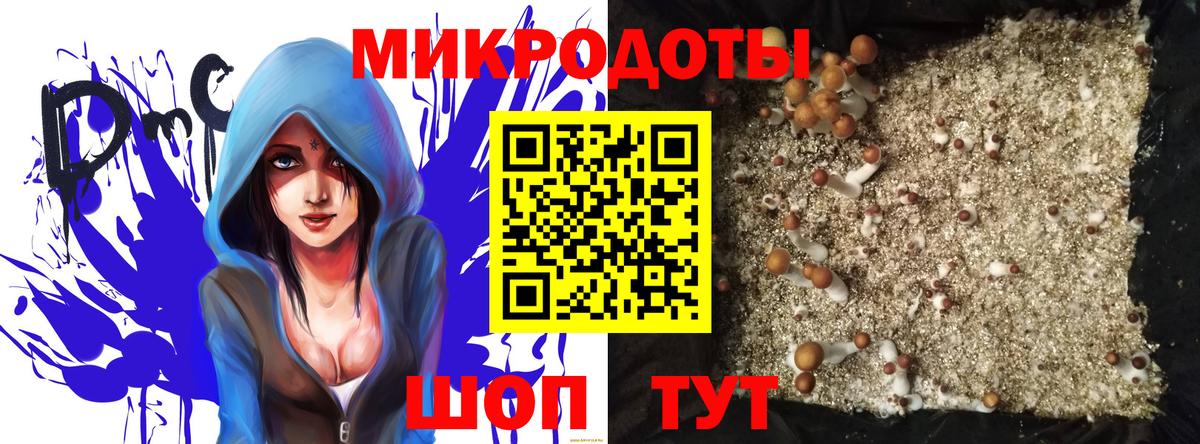 Псилоцибиновые грибы Magic Shrooms  Вход с VPN  Псилоцибиновые грибы MAGIC MUSHROOMS  хочу наркоту  Малгобек 