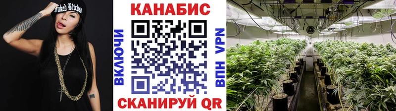 где можно купить наркотик  Малгобек  Шишки марихуана SATIVA & INDICA 
